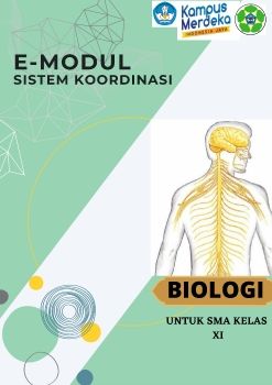 E-Modul