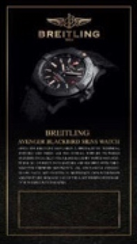 LUXURY WATCH