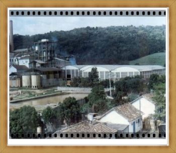ANIVERSARIO 29 ANOS FUNCIONÁRIOS DA USINA 23.12.1988
