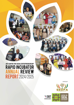 DUT CSERI Report 2025