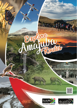 Amajuba brochure 2024