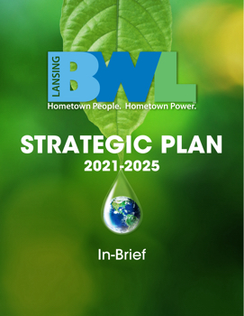 2021BWLStrategicPlanInBrief