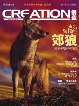 Creation40201