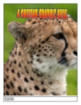 303 Michael S Cheetah