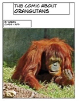 303 Aaron Orangutan