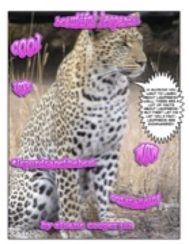 301 Sloane Leopard