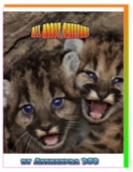 303 Alexandra Cheetah