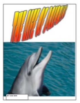 303 NINA dolphins