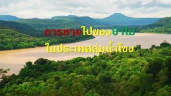 งานนำเสนอ PowerPoint