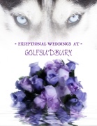 2016-Website-Download