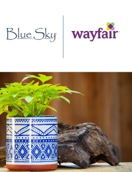 BlueSkyWayfair2019