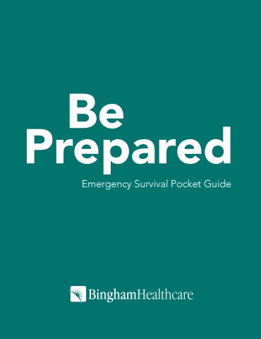 105342-Prepardness Book