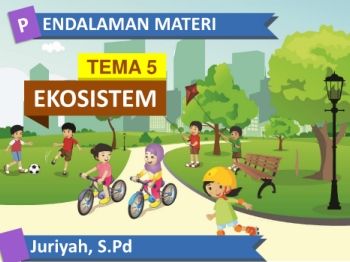 TEMA 5