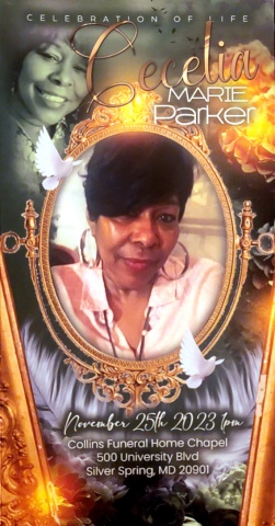 Arnice
