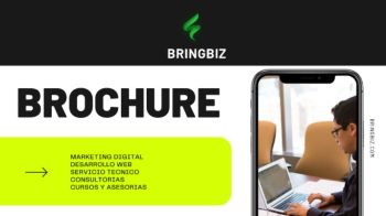 BROCHURE BRINGBIZ