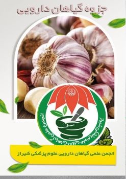 Extracts from the history and medical properties of garlic