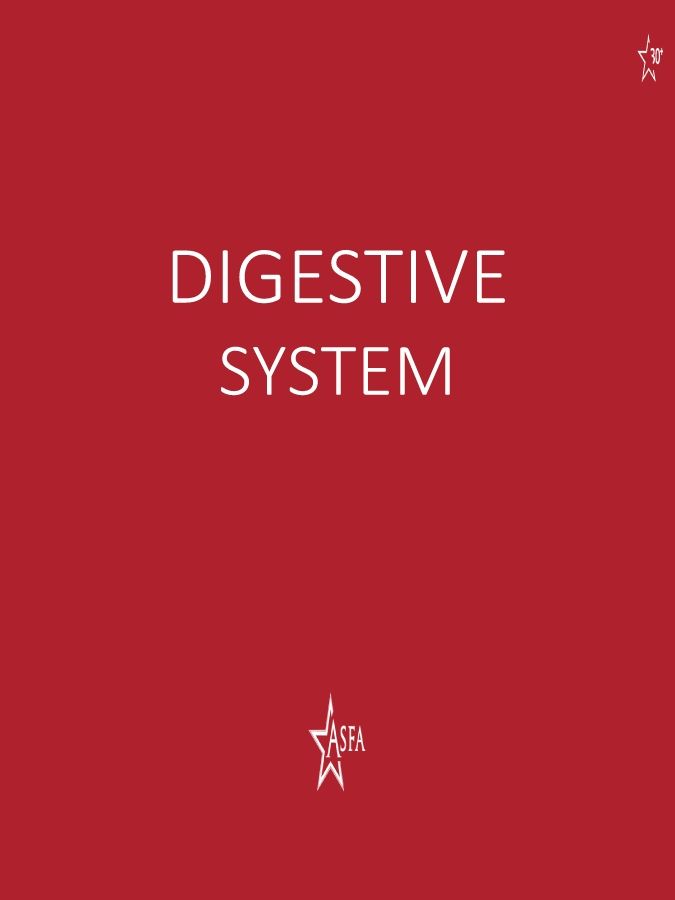 Digestive System 