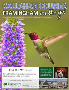 Framingnam_June2019