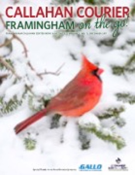 Framingham_December17