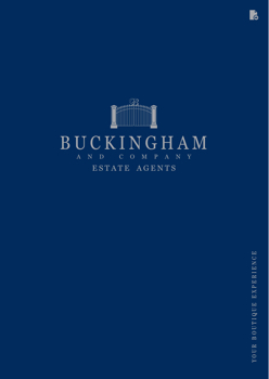 Buckingham and Company Demo V2