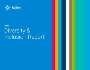 3978_D&I_Report_Final
