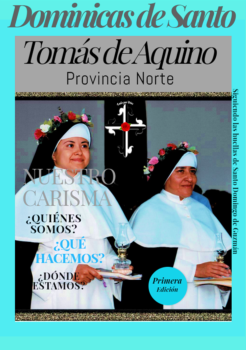 DSTA  REVISTA