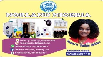 2020 Norland Products Reviewed Presentation