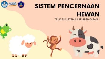 SISTEM PENCERNAAN PADA HEWAN