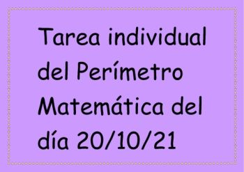 Doc1mate perimetro tarea individual