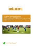 smalagspelbok_Neat