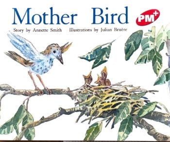 Mother Bird L4