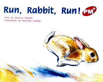 Run Rabbit Run L5