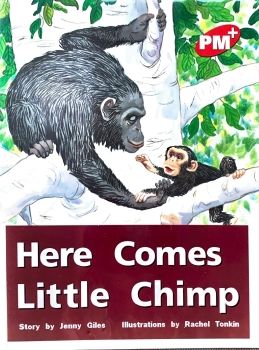 Here Comes Little Chimp L3