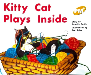 Kitty Cat Plays Inside L8