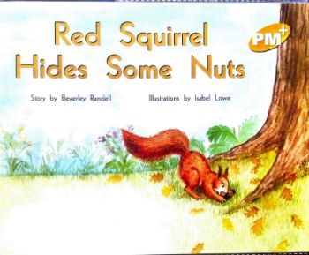 Red Squirrel Hides Some Nuts L7