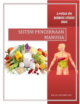 SISTEM PENCERNAAN MANUSIA