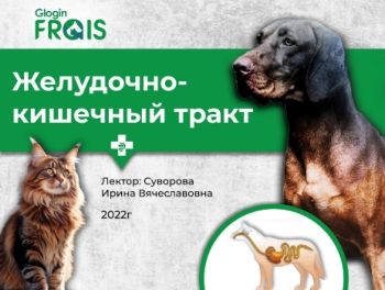 Презентация Frais