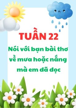 TUAN 22