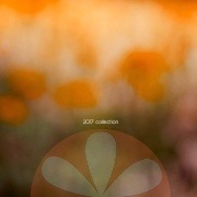 Bloem 2017