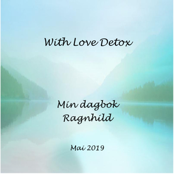 Detox dagbok 24 05 19