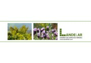 Catalogo Landelar
