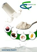 Broch_Food_(fr-eng)