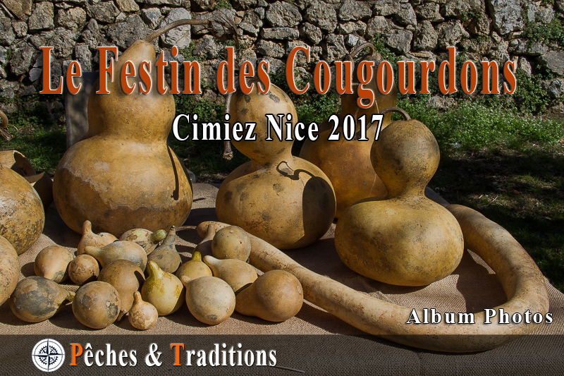 cougourdons2017