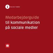 socialemedierguide