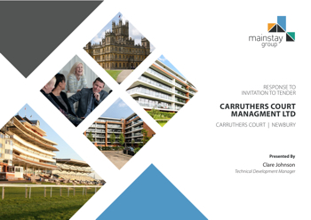 Carruthers Court Newbury Proposal