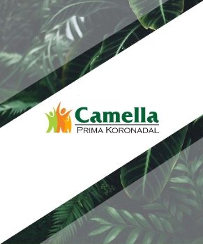 C:\Users\User\Documents\Flip PDF Professional\CamPrimaKonadal\