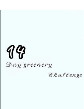 4 น้ำเย็น6-1งาน14วัน 