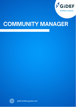 COMMUNITY MANAGER