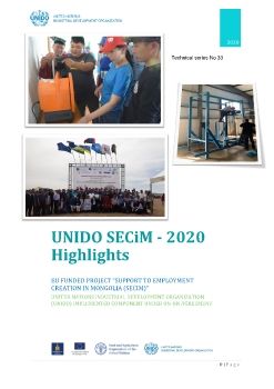 UNIDO SECiM - 2020 Highlights