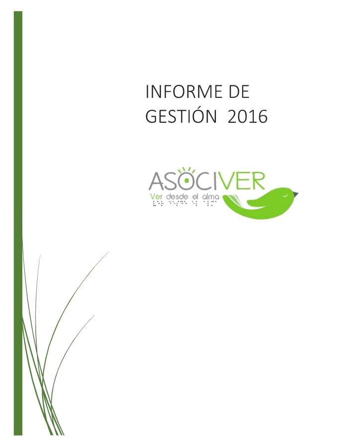 INFORME DE GESTION 2016_Neat